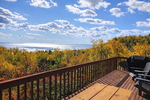 Unclassified image, 3 of 41, button