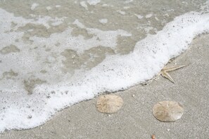 Ein Seestern und zwei glatte Kieselsteine an einem sandigen Strand mit leichten Wellen.