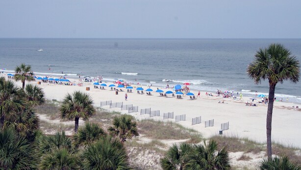 A beach with rows of blue umbrellas, palm trees, and a sandy shore. - Breakers 102 (Hilton Head Island)