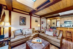 Télévision, cheminée, lecteur de DVD, livres