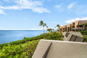 A resort with a view of the ocean, palm trees, and a building with balconies.