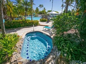 Una piscina con borde de piedra, rodeada de abundante vegetación y palmeras.