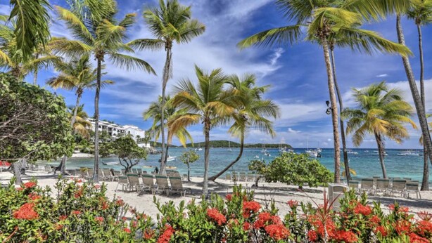 Un resort frente al mar con palmeras, piscina y vistas al océano.