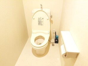 Shower, free toiletries, hair dryer, slippers