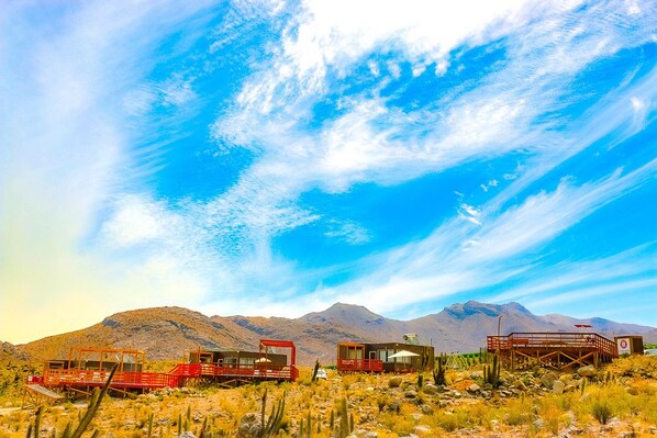 واجهة المنشأة