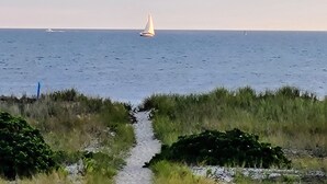A coastal path leading to the sea with a sailboat in the distance.