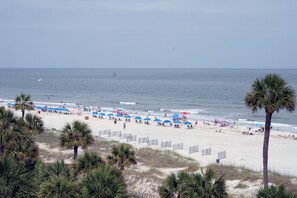 Playa en los alrededores 