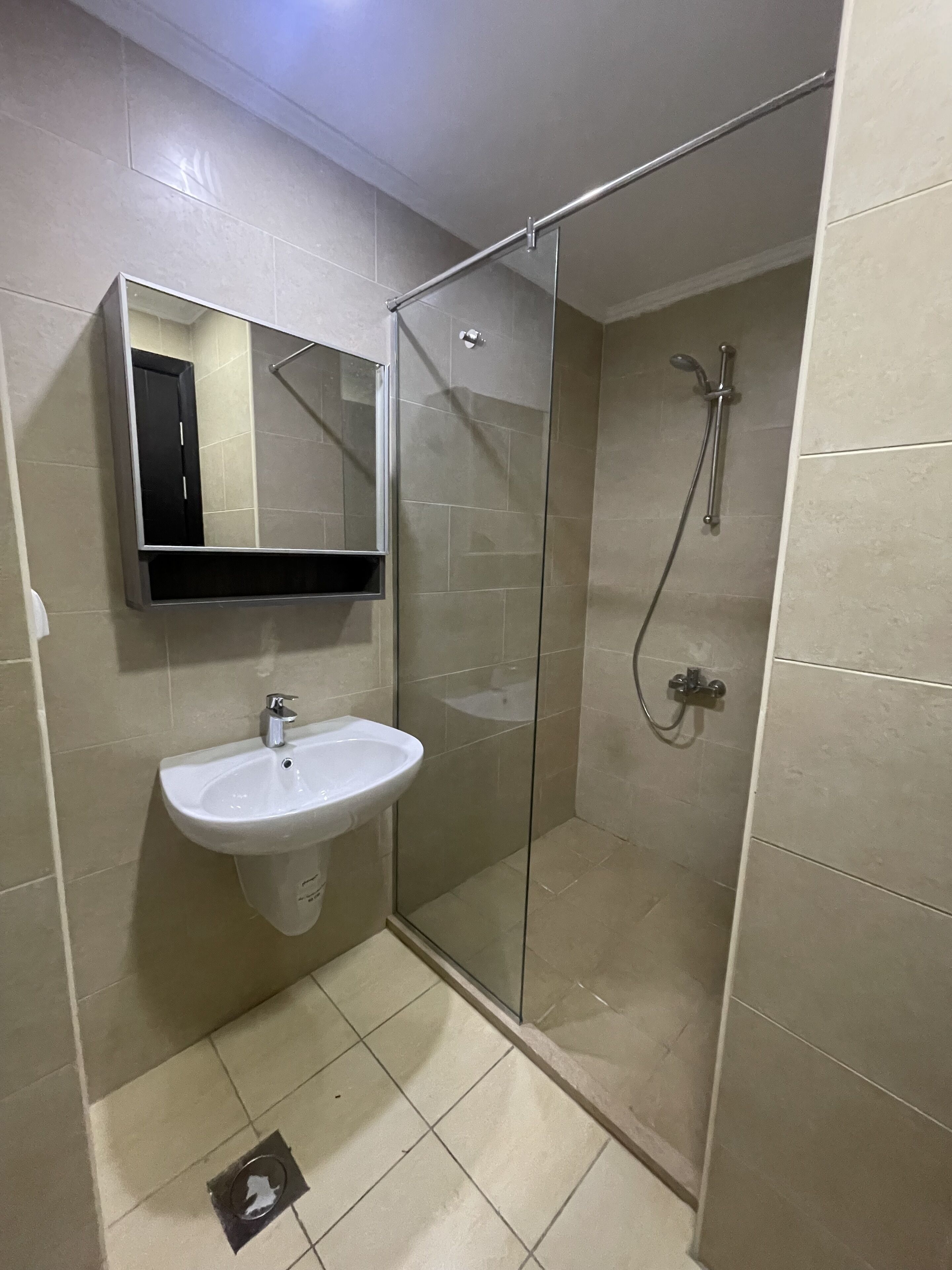 A bathroom with a glass-enclosed shower, a sink, and a mirror.