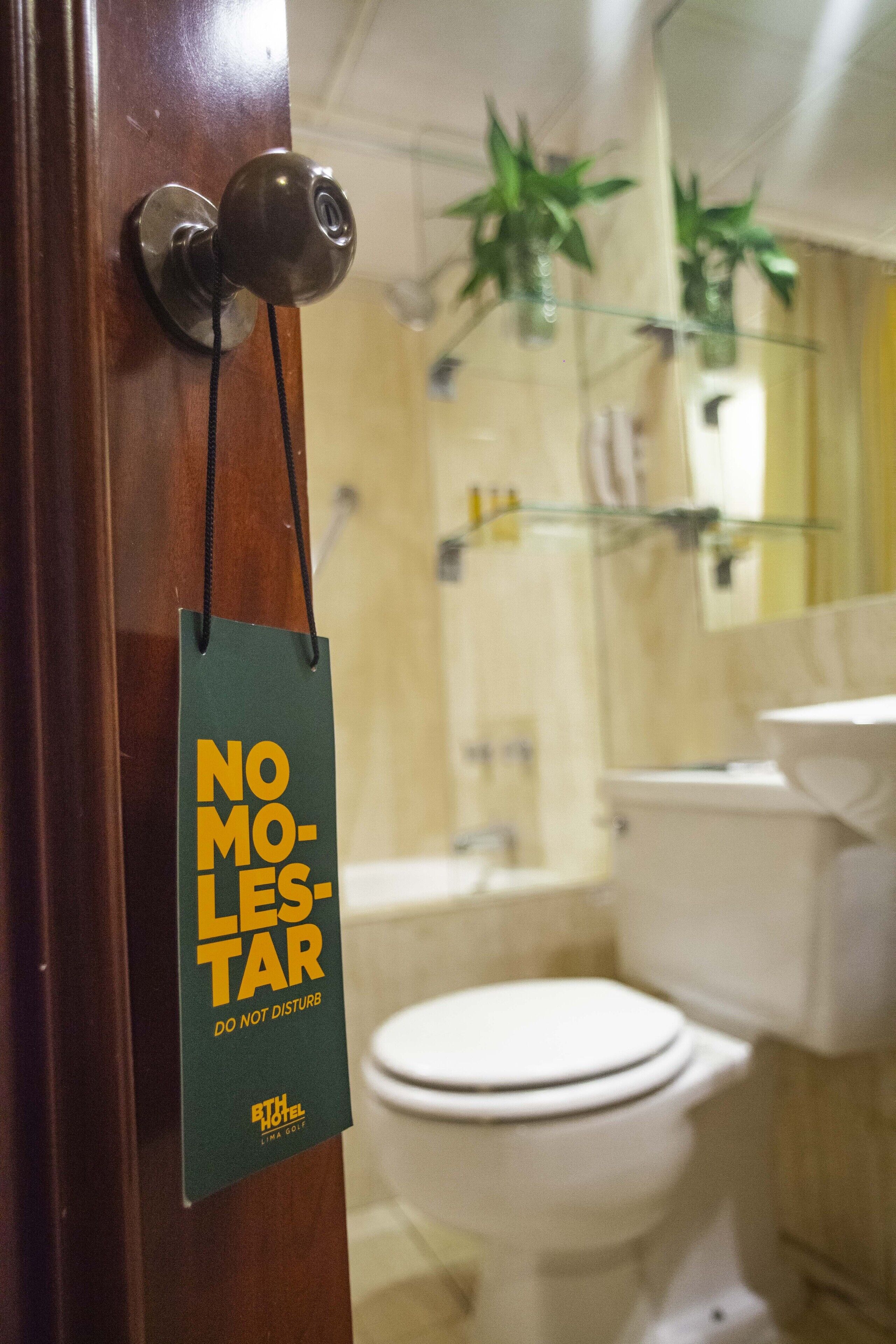 A bathroom with a toilet, a mirror, and a hanging plant.