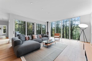 Smart TV, chimenea, libros, monitor de computadora