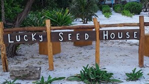 Un letrero de madera con el texto 'Lucky Seed House' en letras blancas.