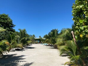 On the beach, sun-loungers, beach towels - 3 bedroom - Private Ocean Front House (San Pedro)