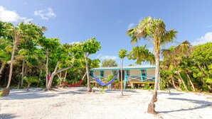 Una propiedad frente a la playa con una casa, palmeras y una hamaca.