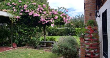 Beau complexe avec maison de campagne et chalets, Ă 5 "de SAN JUAN, ARGENTINE