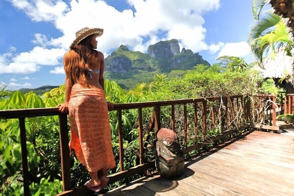 Vista desde la propiedad