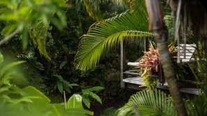 A wooden deck with a bench, surrounded by lush tropical foliage.