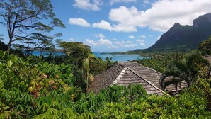 A tropical landscape with a view of the sea and a mountain in the distance.