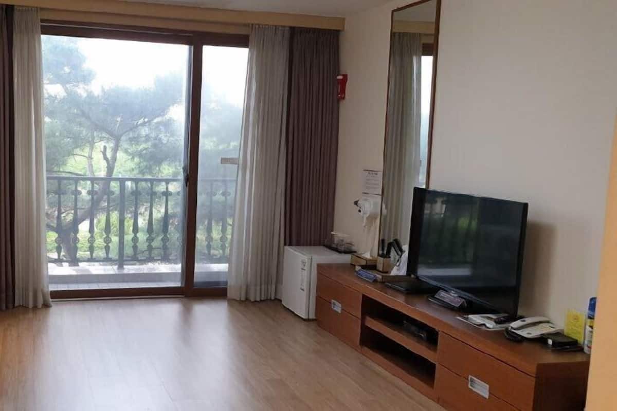 A room with a wooden floor, a television on a wooden stand, a small white appliance, and a view of trees through a glass door.