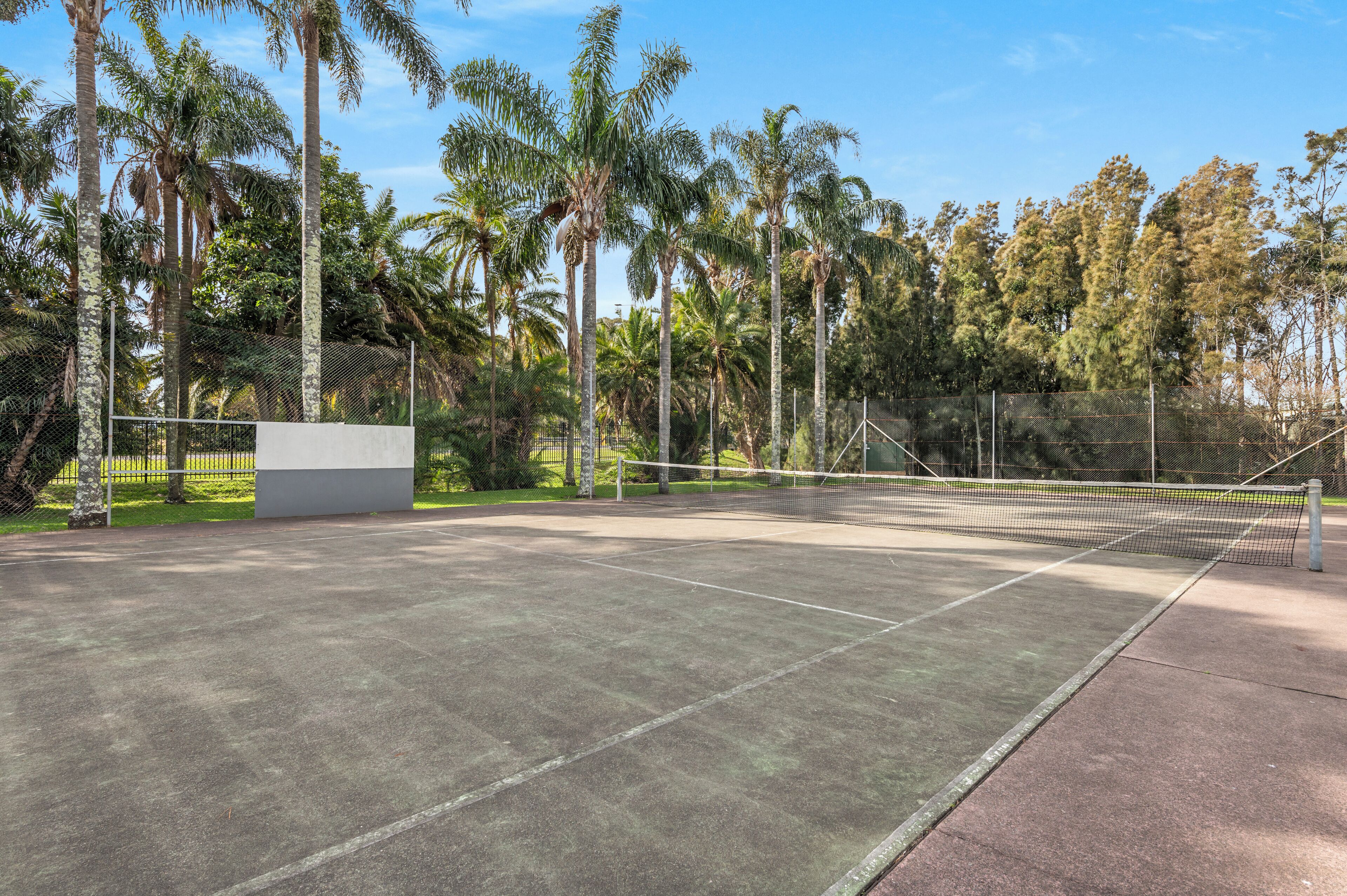 Un campo da tennis all'aperto circondato da palme e da una recinzione.