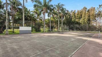 Un campo da tennis all'aperto circondato da palme e da una recinzione.