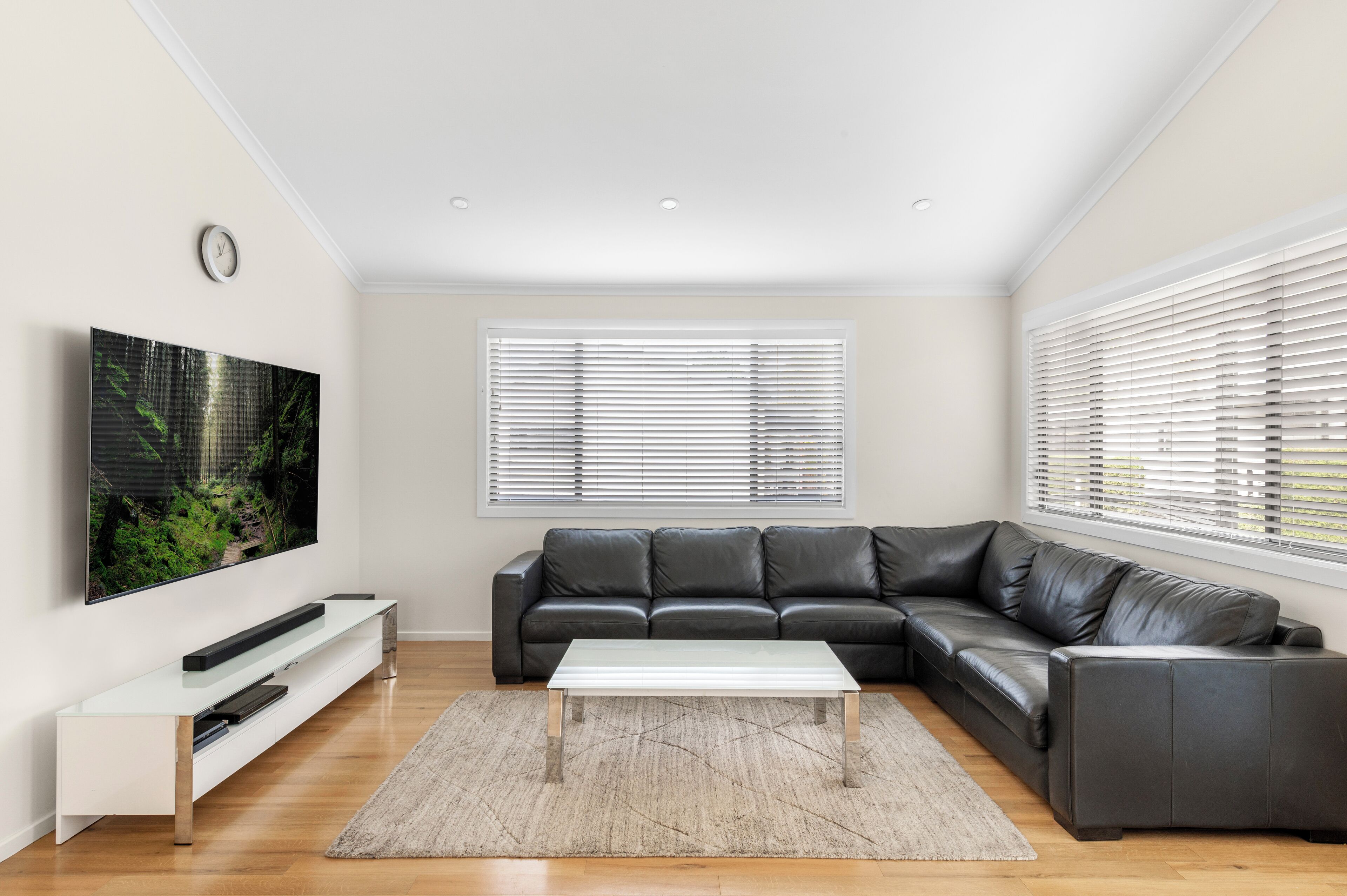 executive cabin | living area | flat-screen tv, video game console, dvd player