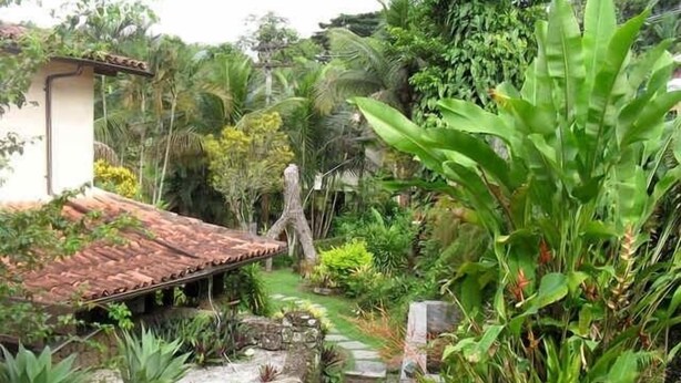 A garden with a stone pathway, various plants, and a building with a tiled roof.