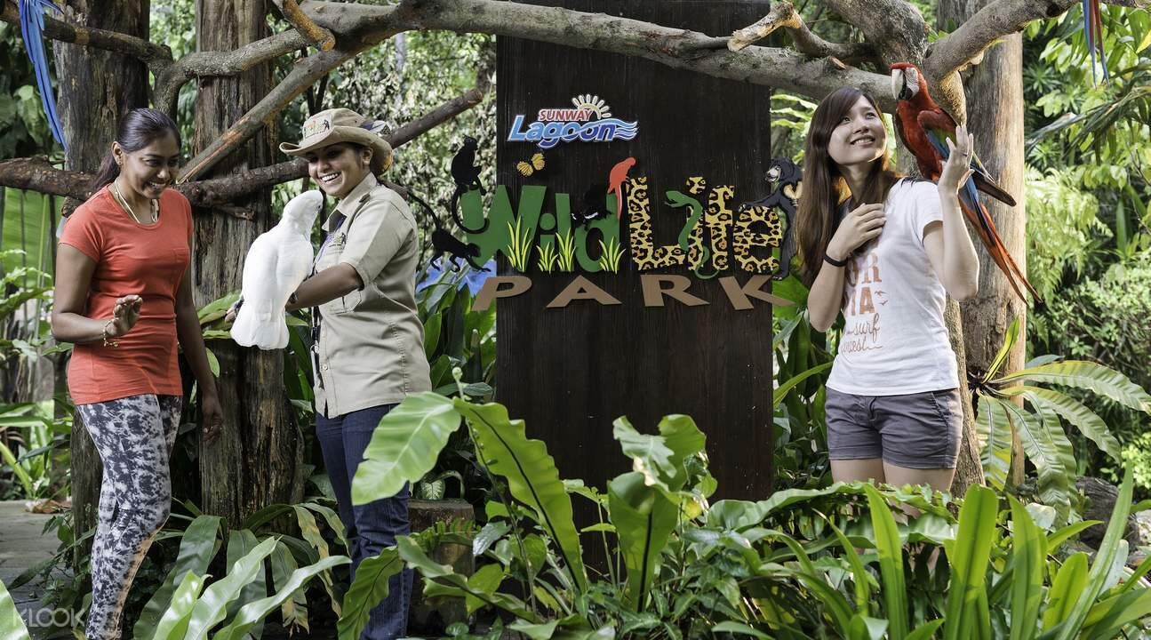 水上樂園