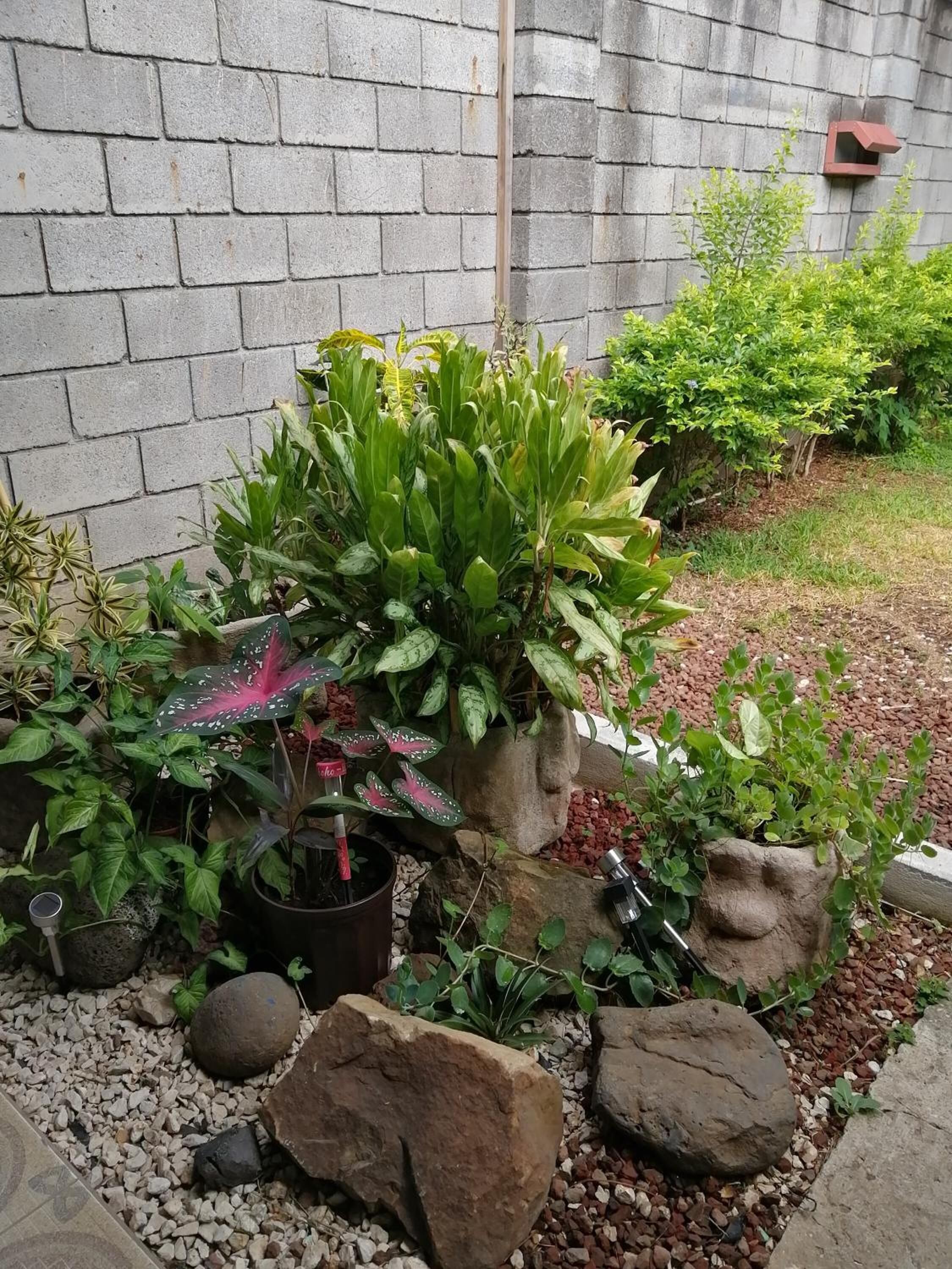 Foto - Hostal Casa Azul