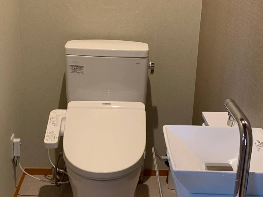 Un water standard bianco con un pannello di controllo, un lavabo con un rubinetto moderno e una parete semplice.