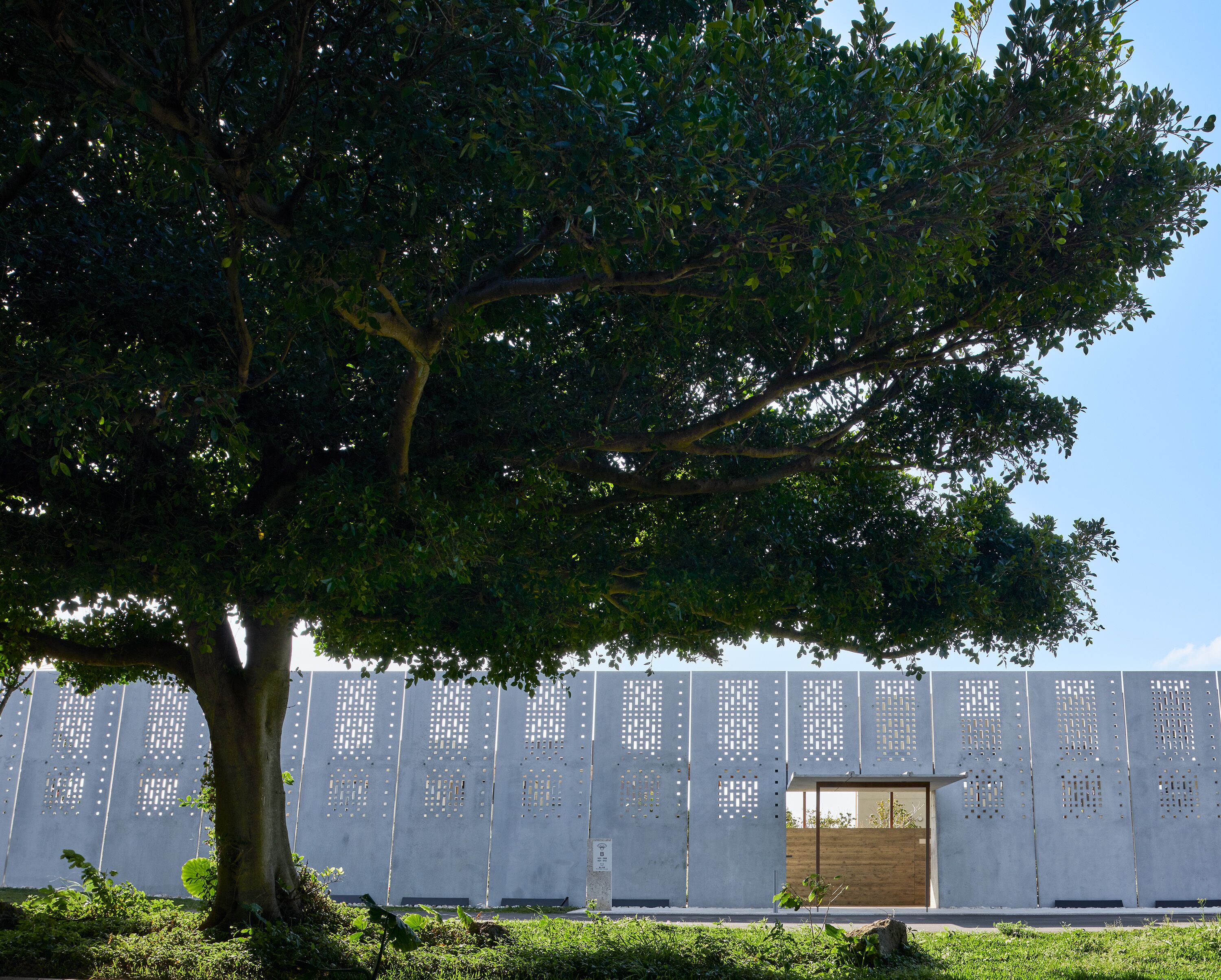 A tree in front of a building with a wooden door and a metal fence with holes.
