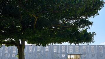 A tree in front of a building with a wooden door and a metal fence with holes.