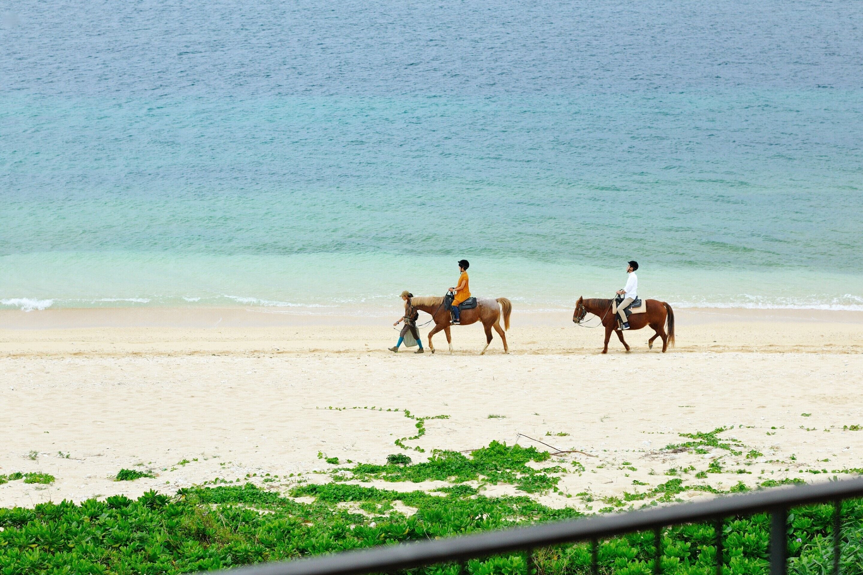 A beach with two people riding horses.