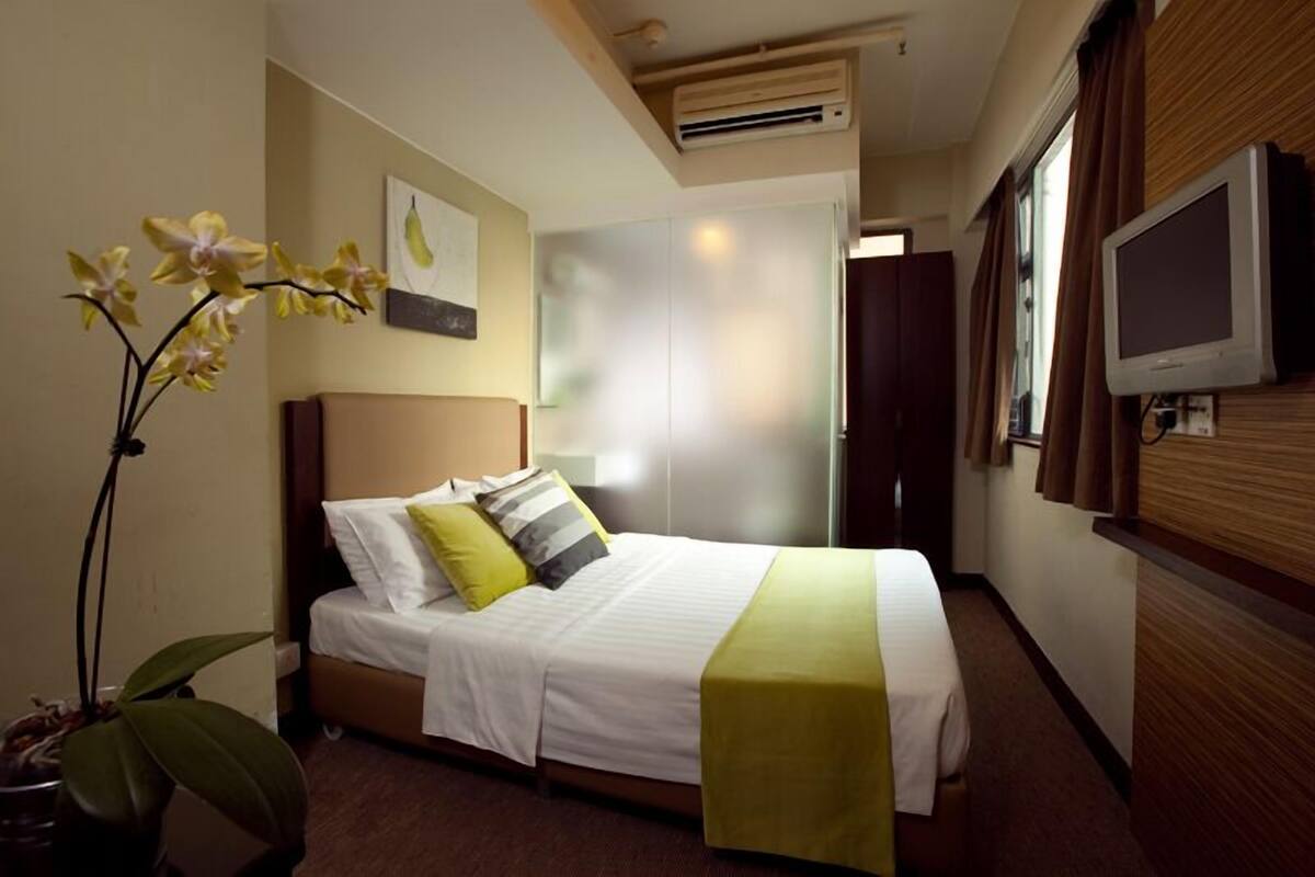 A hotel room with a bed, a TV, a potted plant, and a window.