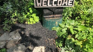 Una estatua de madera de un oso con un letrero que dice 'WELCOME' frente a un jardín con diversas plantas y un sendero de piedra.