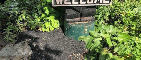 外观细节