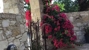 A stone wall with a potted plant and a metal gate.