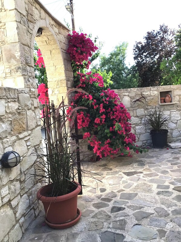 Áreas de la propiedad