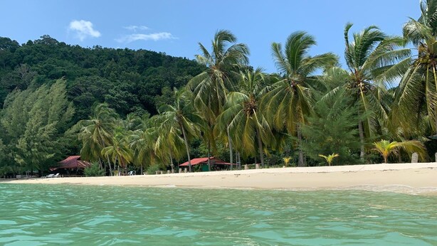 Une plage bordée d’une eau turquoise et limpide, avec des palmiers et une colline boisée en arrière-plan.