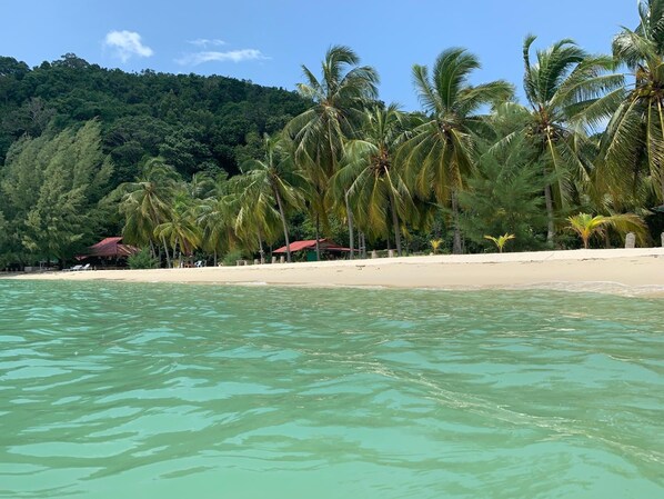 Beach - Wild Pasir Panjang Villas (Pulau Tuba)