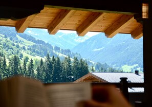 Vue sur les montagnes