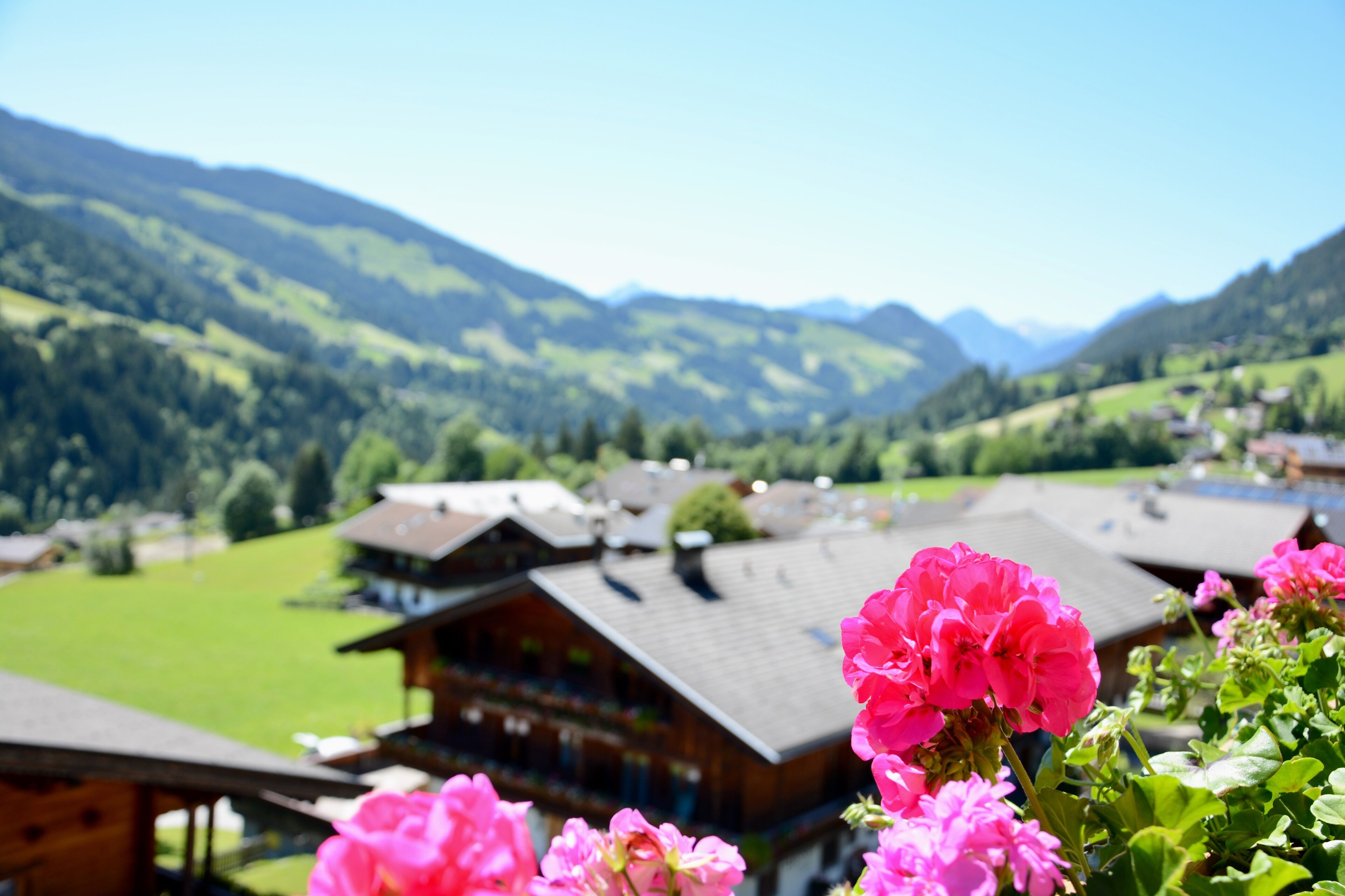 A mountain landscape with a wooden chalet and vibrant pink flowers in the foreground.