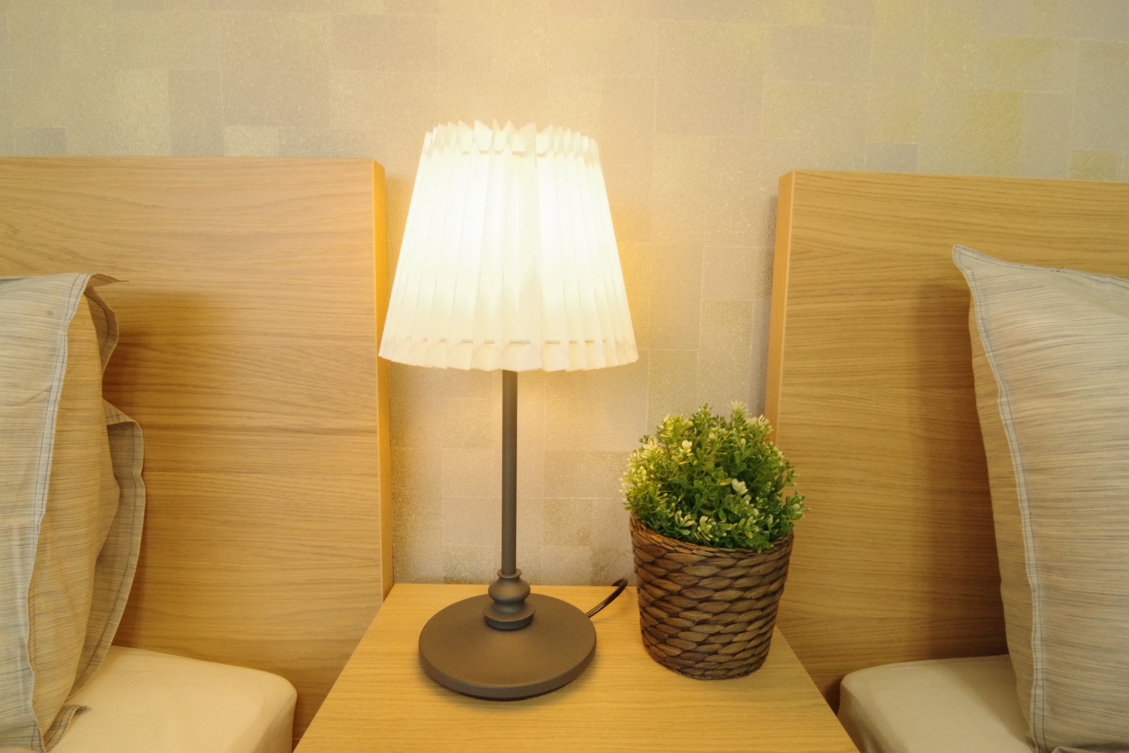 A neatly arranged hotel room with a bedside table, a lamp, and a potted plant.
