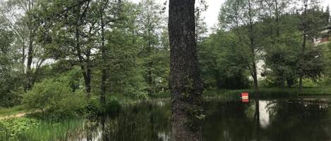 Boendeområde
