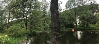 MySchluchseehome - Cozy apartment with balcony and new swimming pool