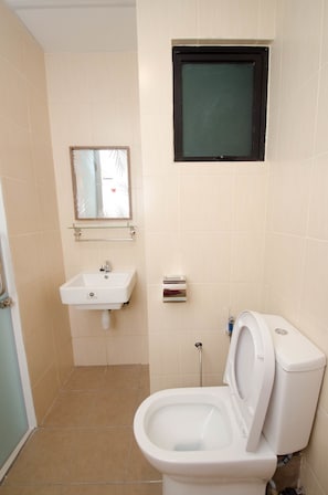 Suite | Bathroom | Shower, free toiletries, hair dryer, slippers