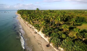 A beach with palm trees and boats. - The Vagabond Lodge (Mkwaja)