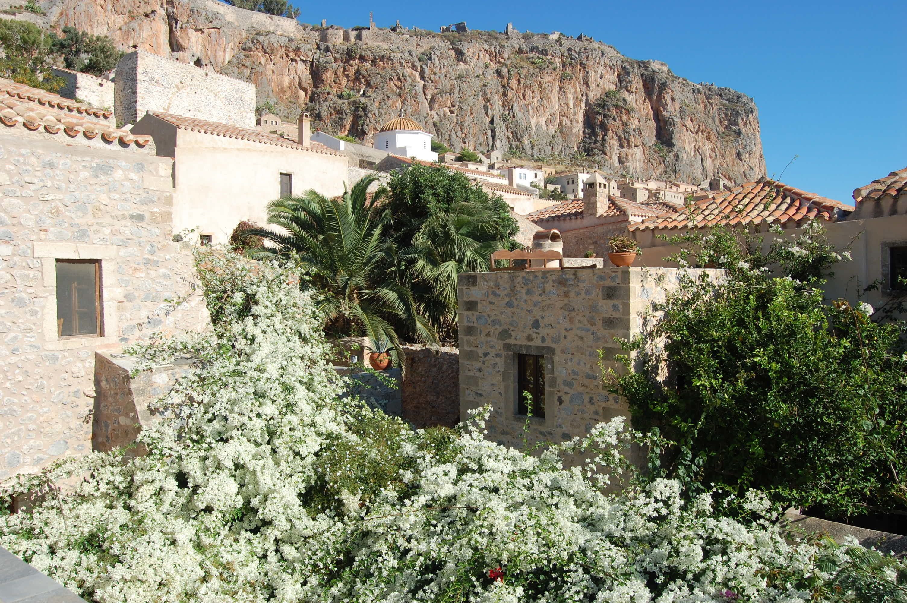 A stone building with a small window and a door, surrounded by white flowering plants.
