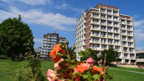 Front of property - Balneo Hotel Pavel Banya (Pavel Banya)