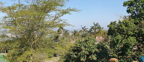 Un jardín ajardinado con diversos árboles y arbustos, un sendero pavimentado y vistas a edificios lejanos.