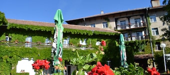 Balneo Hotel Lyulyatsi
